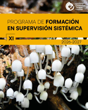 Programa de Formación en Supervisión Sistémica